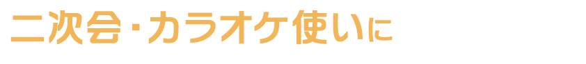 二次会・カラオケ使いに